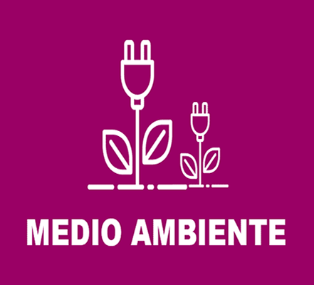 Medio Ambiente